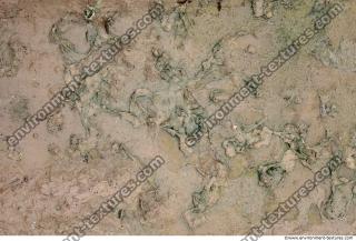 photo texture of soil mud